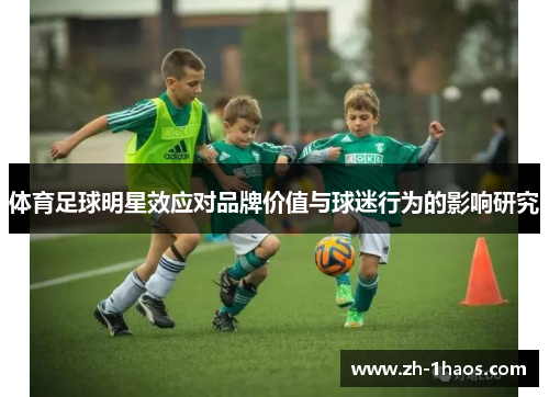 体育足球明星效应对品牌价值与球迷行为的影响研究