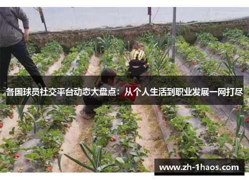 各国球员社交平台动态大盘点：从个人生活到职业发展一网打尽