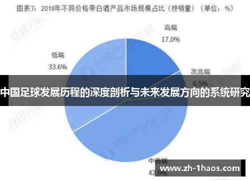 中国足球发展历程的深度剖析与未来发展方向的系统研究