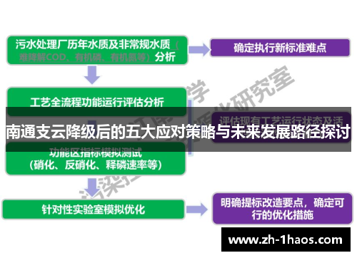 南通支云降级后的五大应对策略与未来发展路径探讨