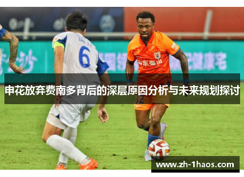 申花放弃费南多背后的深层原因分析与未来规划探讨