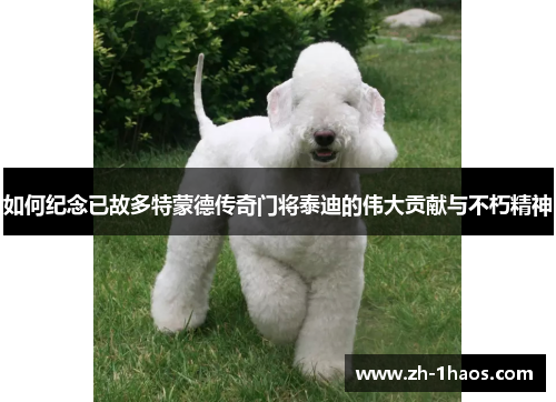 如何纪念已故多特蒙德传奇门将泰迪的伟大贡献与不朽精神 如何纪念已故多特蒙德传奇门将泰迪的伟大贡献与不朽精神