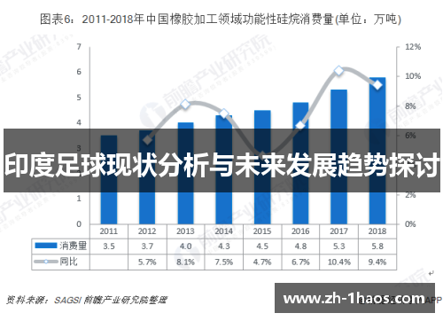 印度足球现状分析与未来发展趋势探讨