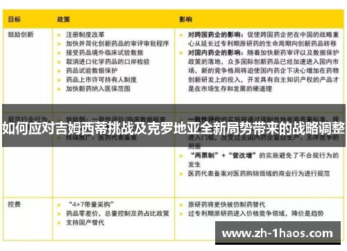 如何应对吉姆西蒂挑战及克罗地亚全新局势带来的战略调整