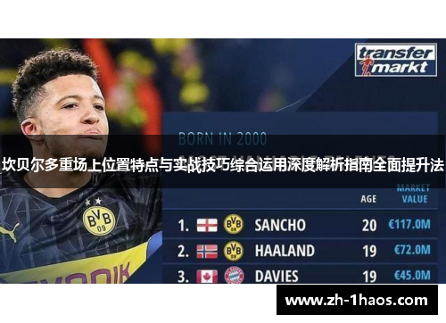 坎贝尔多重场上位置特点与实战技巧综合运用深度解析指南全面提升法 坎贝尔多重场上位置特点与实战技巧综合运用深度解析指南全面提升法