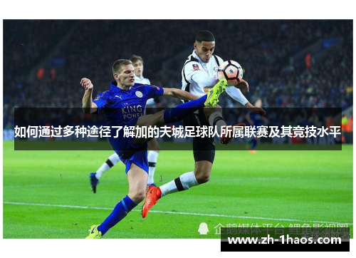 如何通过多种途径了解加的夫城足球队所属联赛及其竞技水平 如何通过多种途径了解加的夫城足球队所属联赛及其竞技水平