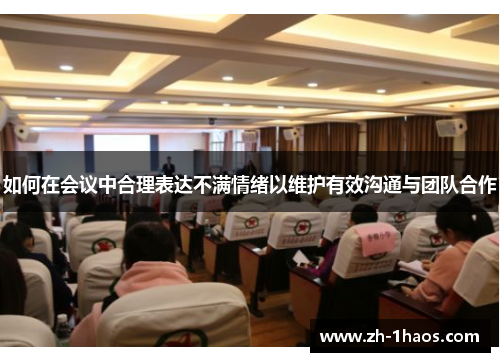 如何在会议中合理表达不满情绪以维护有效沟通与团队合作