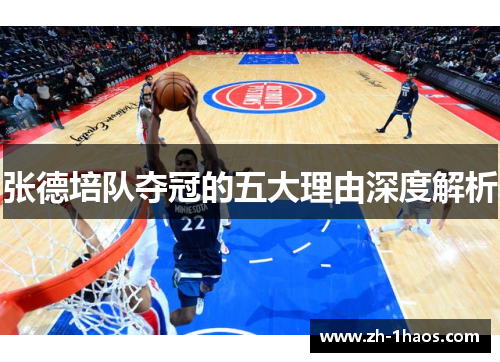 张德培队夺冠的五大理由深度解析